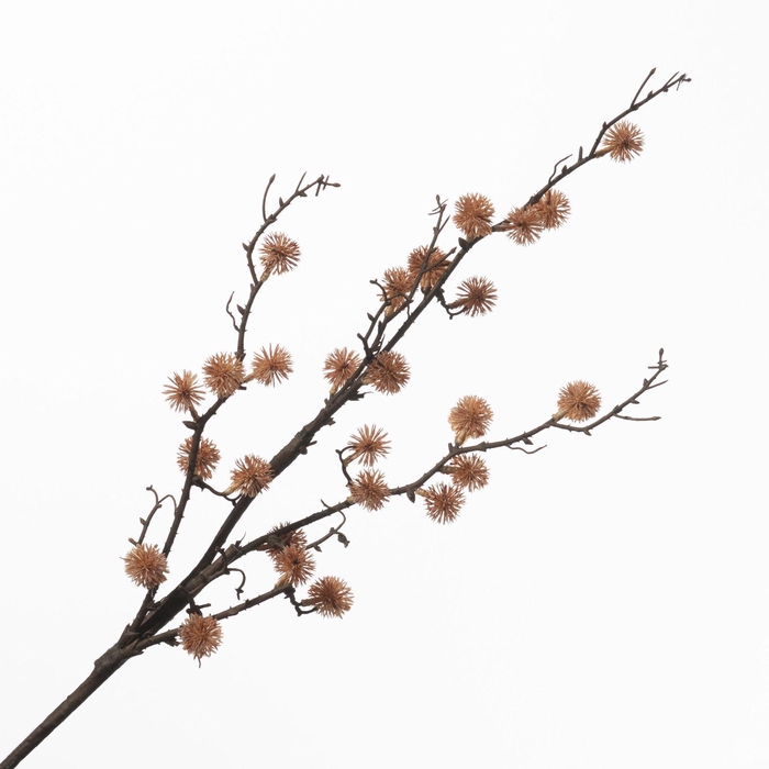 <h4>Sedum Spray Orange LV330184ORA</h4>