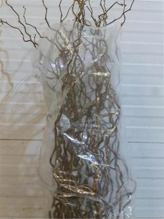 <h4>Corylus Av Contorta</h4>