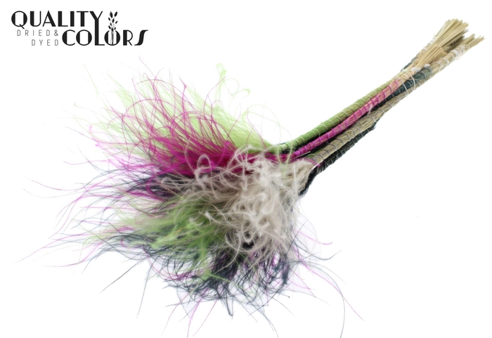 <h4>Droogbloemen   ...bewerkt H%</h4>