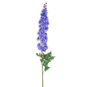 Af Delphinium L114cm Purple