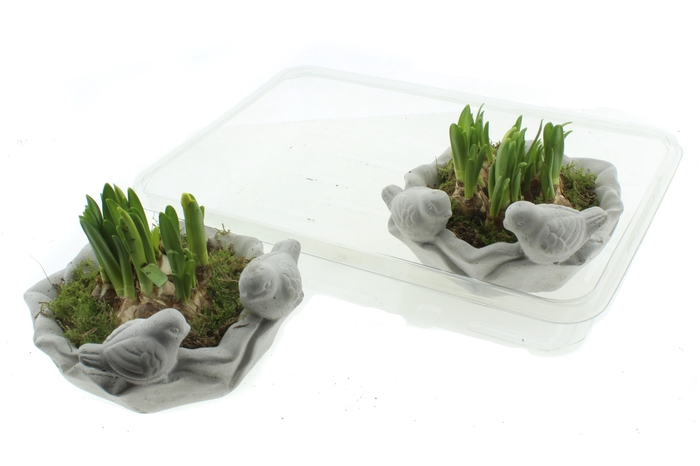 <h4>ARR N TETE A TETE</h4>