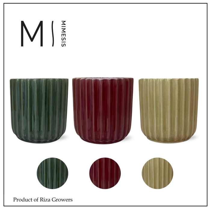 <h4>Mimesis Pottery Ceramic Becca Mix - 12cm</h4>