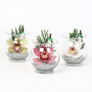 CYMB VERPAKT P BLOEM 3308