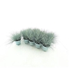Fest Gl Compact Blue