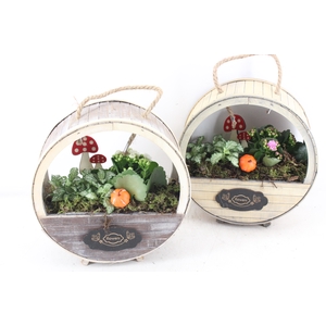 arr2 TD - Houten wiel - roze/wit