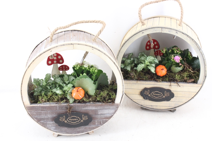 <h4>arr2 TD - Houten wiel - roze/wit</h4>