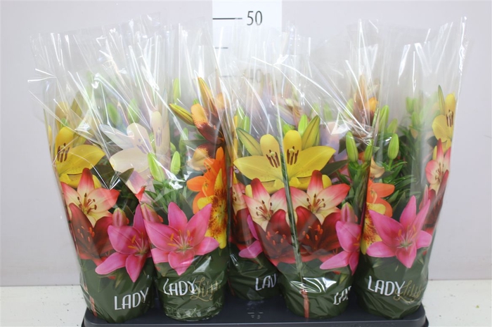 <h4>Lil Az Tiny Nugget 3pp Yellow Orange Heart</h4>