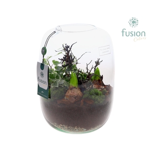 Green Bottle Isabella Large met Hyacinten arrangement