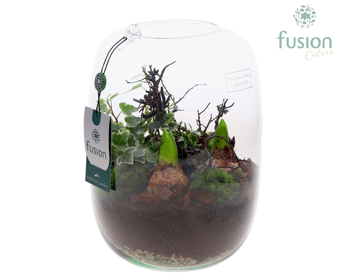 <h4>Green Bottle Isabella Large met Hyacinten arrangement</h4>