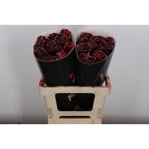 Wax-Rozen Wax Wit  Zilver glitter