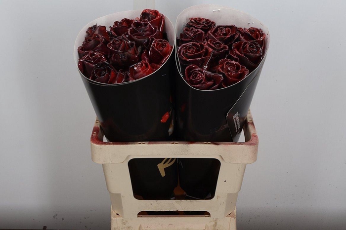 <h4>Wax-Rozen Wax Wit Zilver glitter</h4>