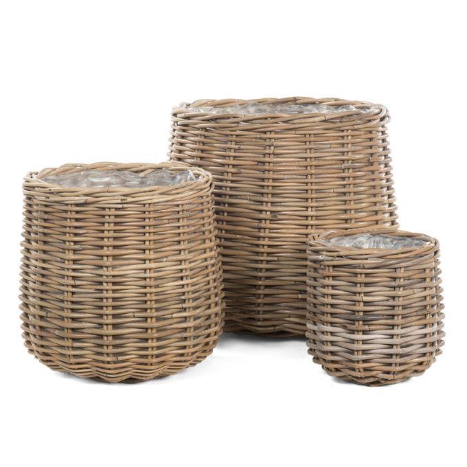 <h4>Mand   ...H%</h4>