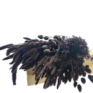 Droogbloem DIY box assorti 65-70cm