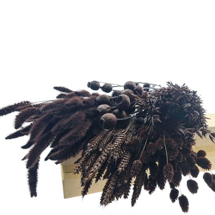 <h4>Dried flowers DIY box assorti 65-70cm</h4>