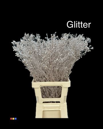 <h4>Waxflower Champagne + Glit Bio</h4>