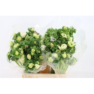 Anem Marianne Panda White