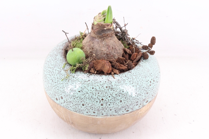 <h4>arr4 Amaryllis MB - Ker. luxe bolpot 338/3</h4>