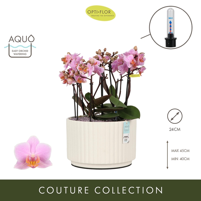 <h4>Arran. Boquetto Romantico Molise White Aquo</h4>