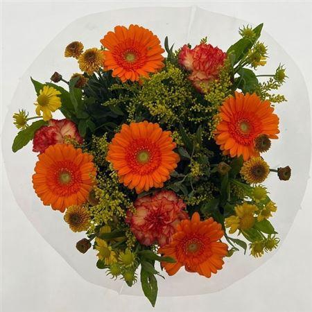 <h4>Gem Boe Middel Oranje 25 Stelen Vers</h4>