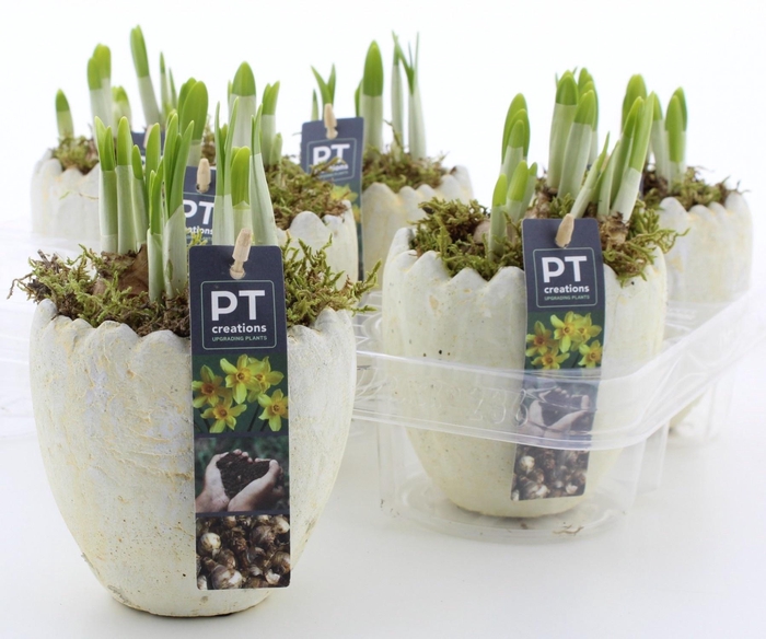 <h4>ARR N TETE A TETE</h4>