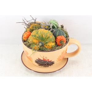 arr4 Sierfruit MB - Kop en schotel herfst