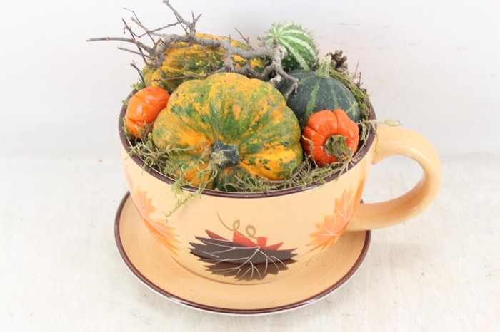 <h4>arr4 Sierfruit MB - Kop en schotel herfst</h4>