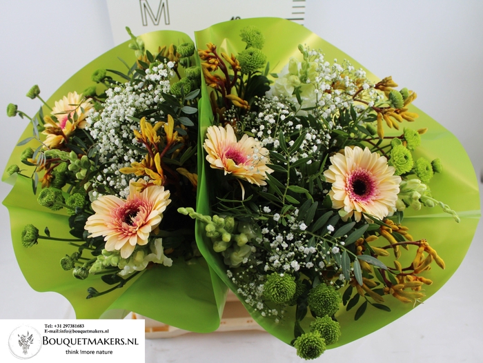 <h4>GEM BOEKET OV</h4>