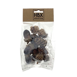 Acorn And Cone 18Pcs