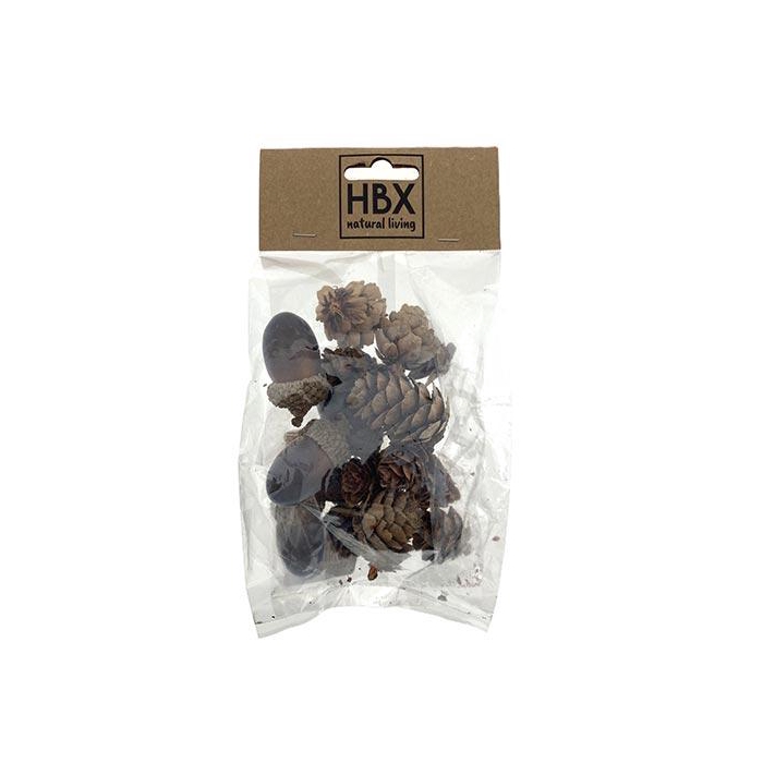 <h4>Acorn And Cone 18Pcs</h4>