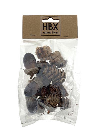 Acorn And Cone 18Pcs