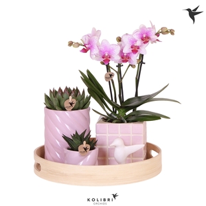 Kolibri Green up your home Gift Set Optimism pink