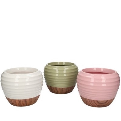 <h4>Ceramics Orchid pot d15*12cm</h4>