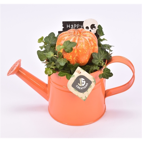<h4>Arrangementen Sierfruit</h4>