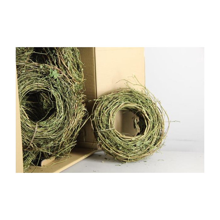 <h4>Wreath Hop Branches</h4>