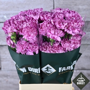 Di St Amico Lavender