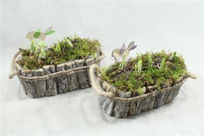 <h4>1185 Schors Ov Tete</h4>