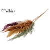 Pampas Grass 100cm 5st/bunch Pumpkin Spice Mix