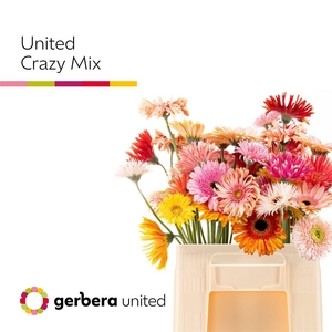 Ge Gr Spi Crazy Mix