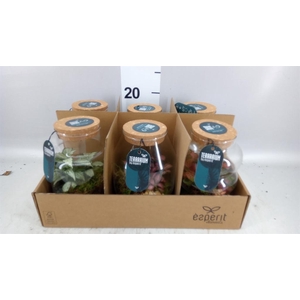 Arr. Planten L%