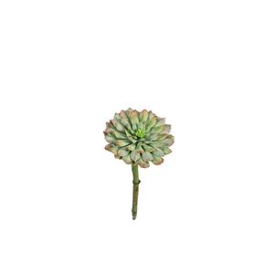 Artificial plants Succulent 20cm