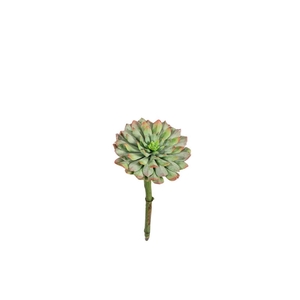Kunstplanten Succulent 20cm