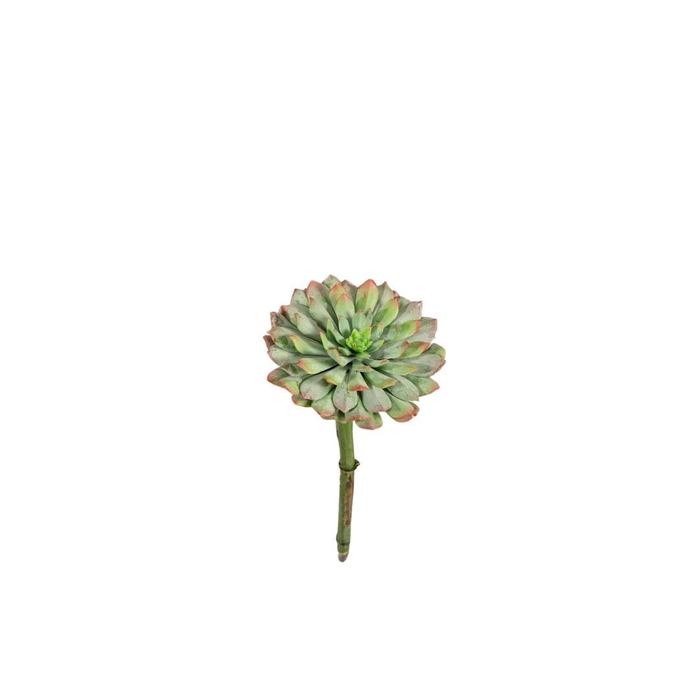 <h4>Artificial plants Succulent 20cm</h4>