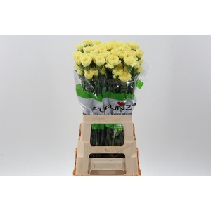 Di St Hermes Yellow
