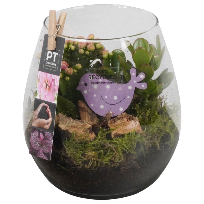<h4>Arr.   Planten L%</h4>