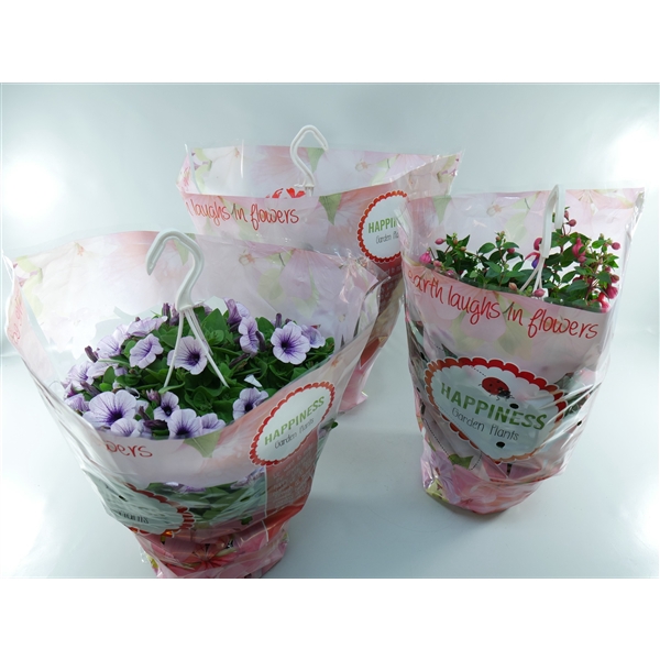 <h4>Hangpotten perkplanten mix 1 soort per pot</h4>