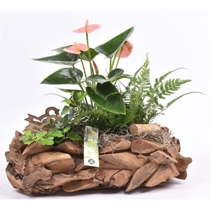 Natuur boomschors 35x20cm