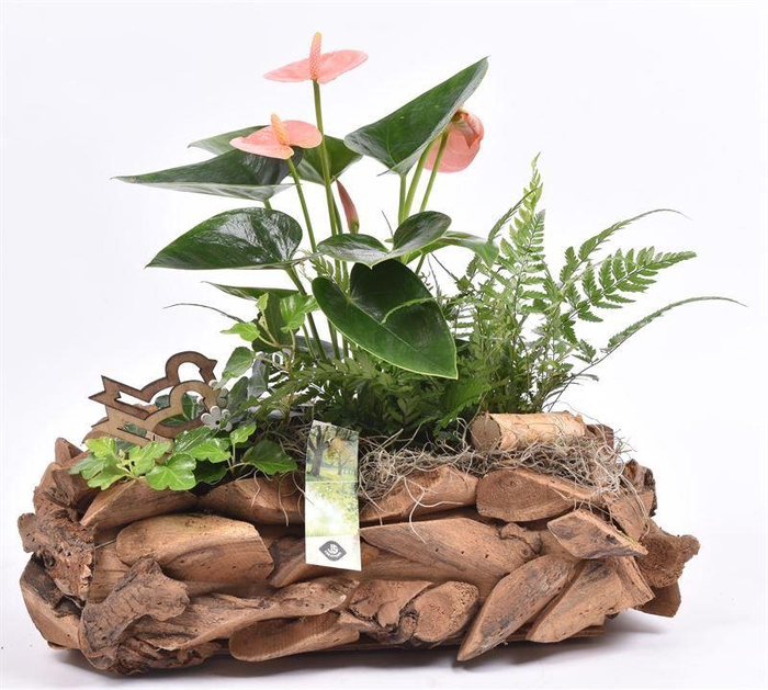 <h4>Natuur hout 35x20cm</h4>