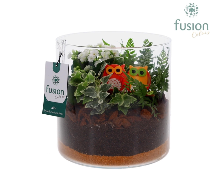 <h4>Herfst glazen cilindervaas met arrangement</h4>