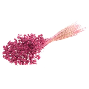 Hill flower 100gr SB pink