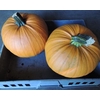 Sierfruit Cuc Maxima Halloween